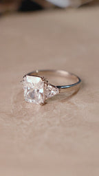 ALMA RING