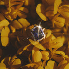 Blue Sapphire Peer Cut Ring in Gold